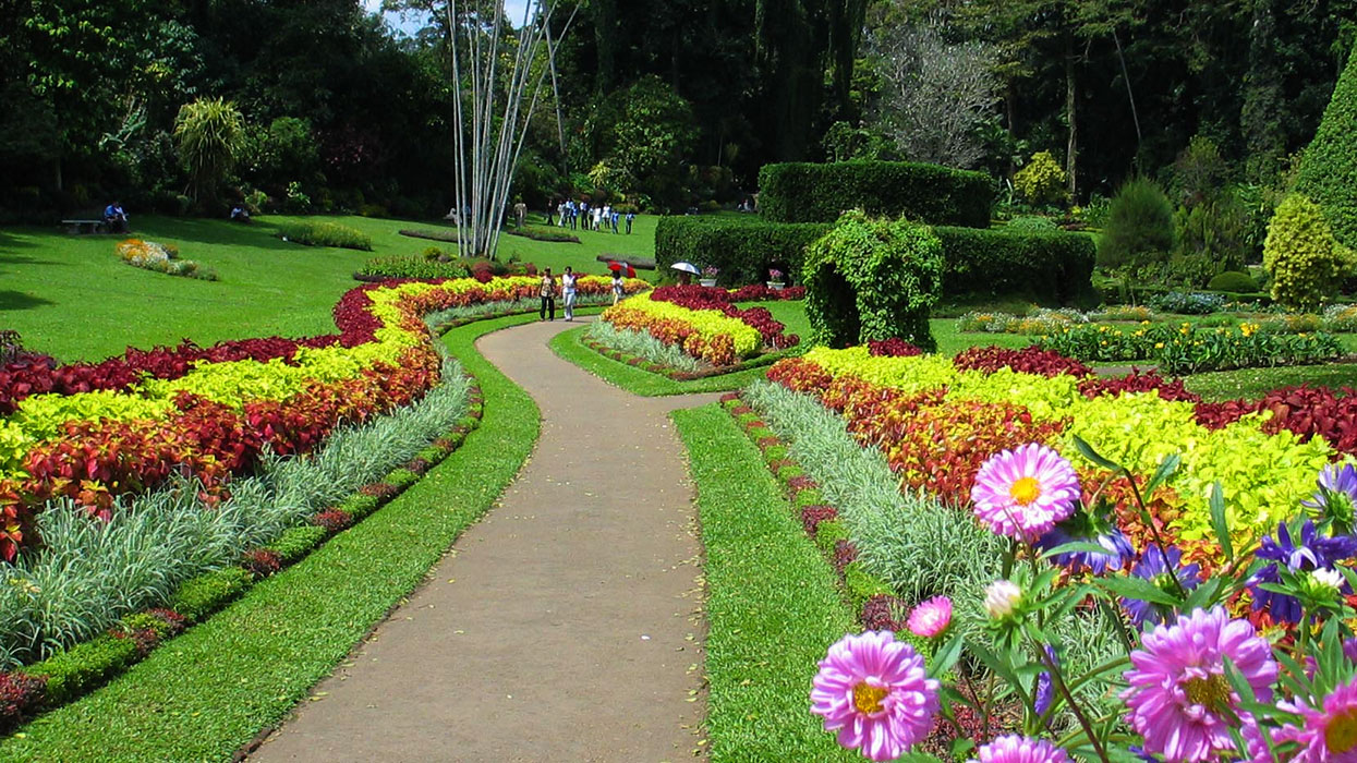 Royal Botanical Gardens in sri lanka.