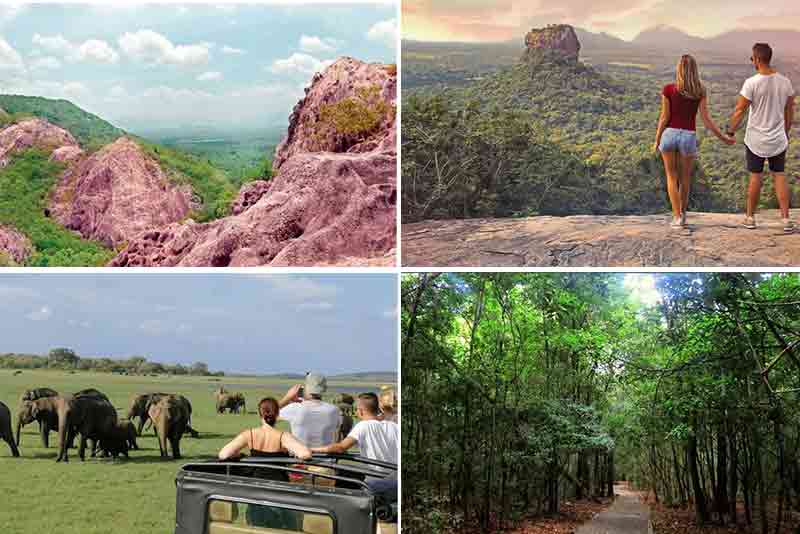 dambulla tours