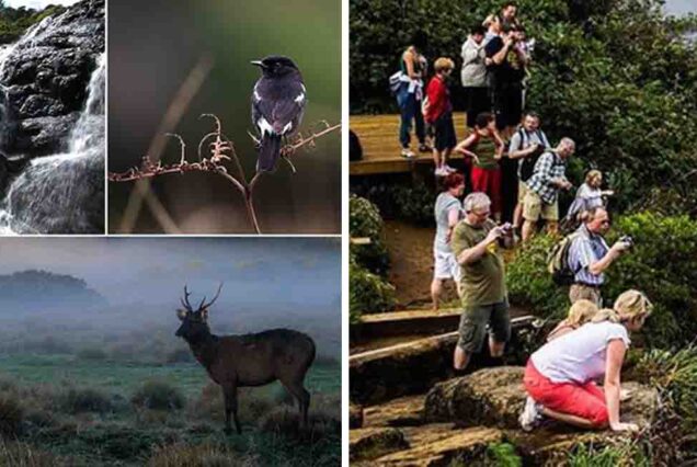 Horton Plains National Park