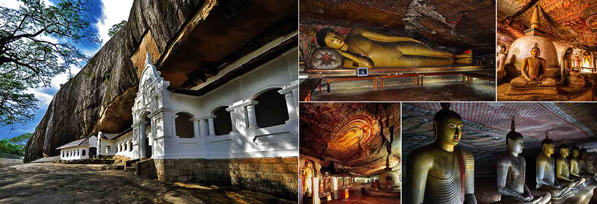 dambulla tour packages