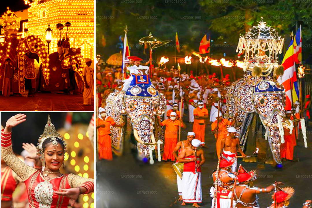 Kandy Perahera in Sri Lanka