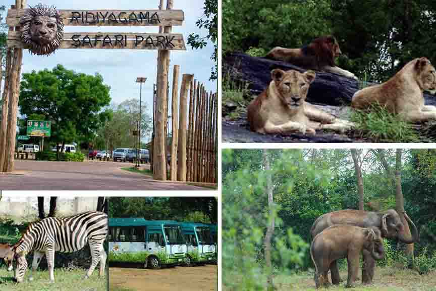 Ridiyagama Safari Park